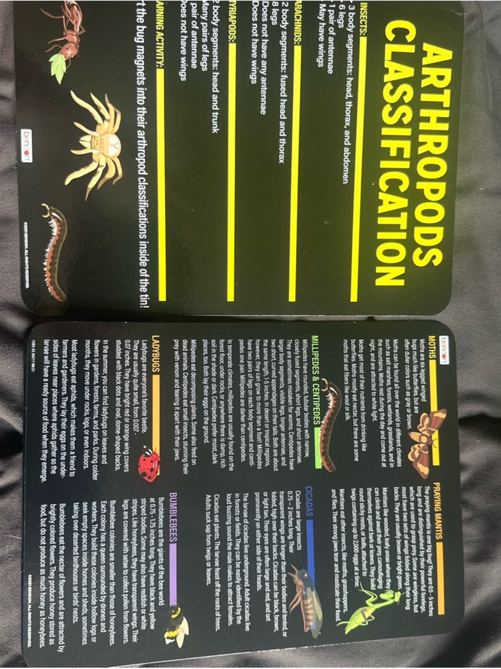 Bendon Bug Science STEM Learning Set - Picture 5 of 7